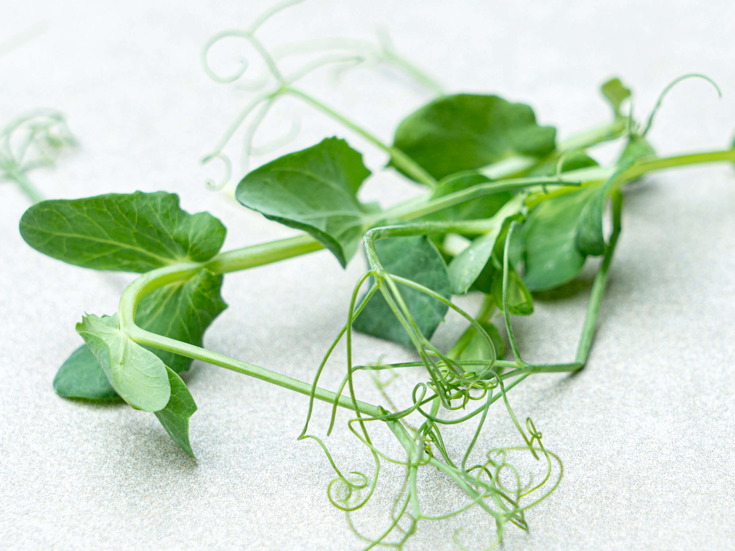 09092023-BW-1-of-1-2